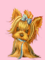 Yorkie puppy with pink glitter